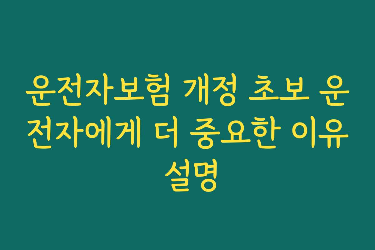 운전자보험 개정 초보 운전자에게 더 중요한 이유 설명