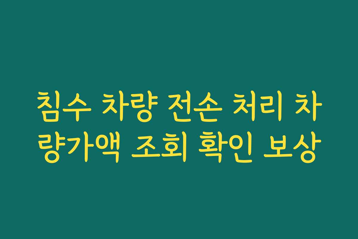 침수 차량 전손 처리 차량가액 조회 확인 보상