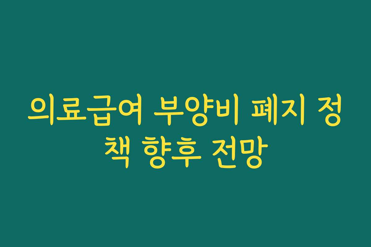 의료급여 부양비 폐지 정책 향후 전망