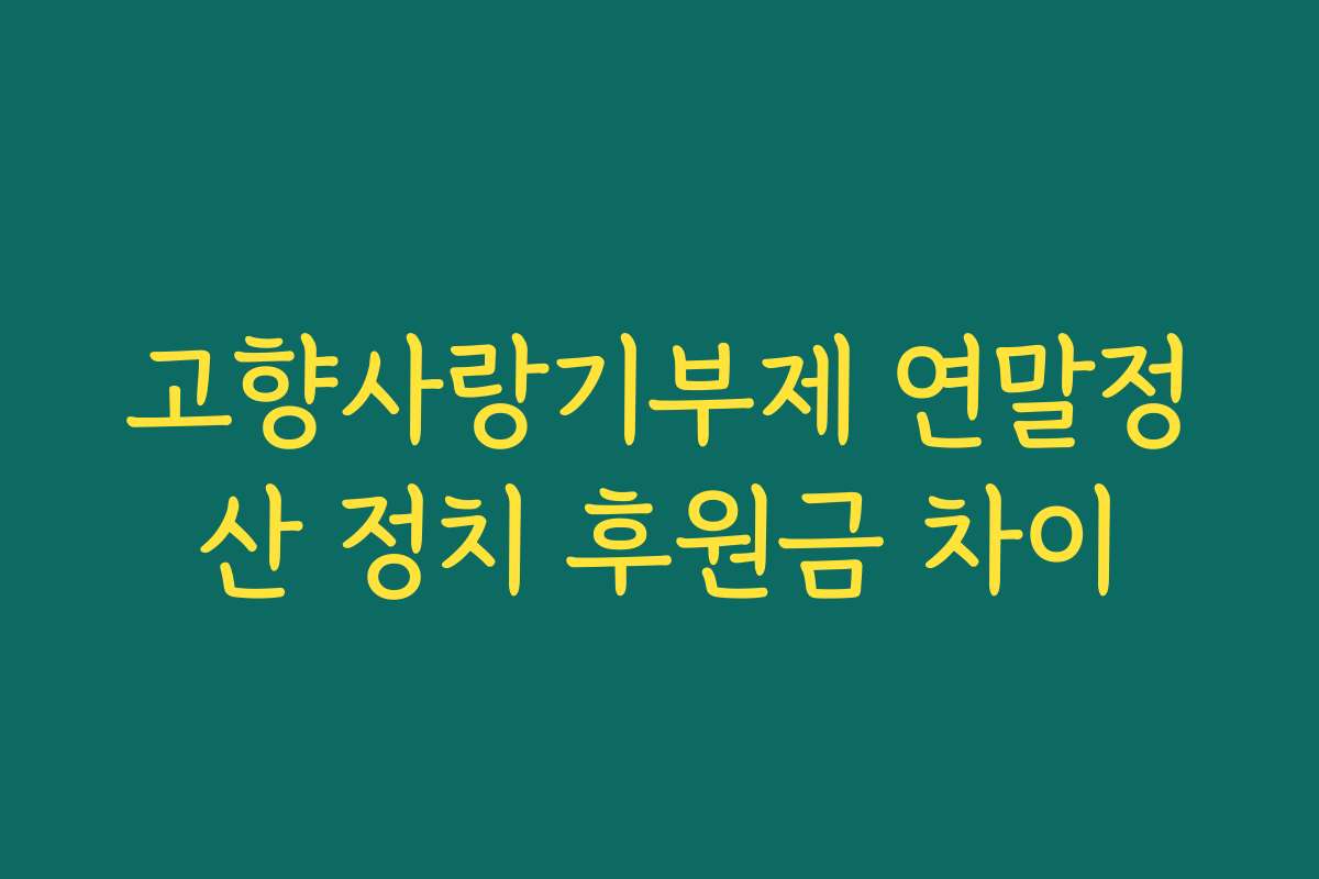 고향사랑기부제 연말정산 정치 후원금 차이