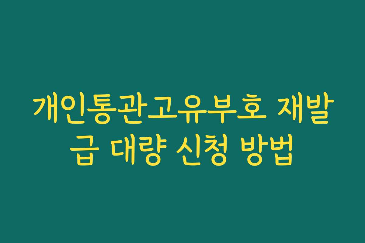 개인통관고유부호 재발급 대량 신청 방법