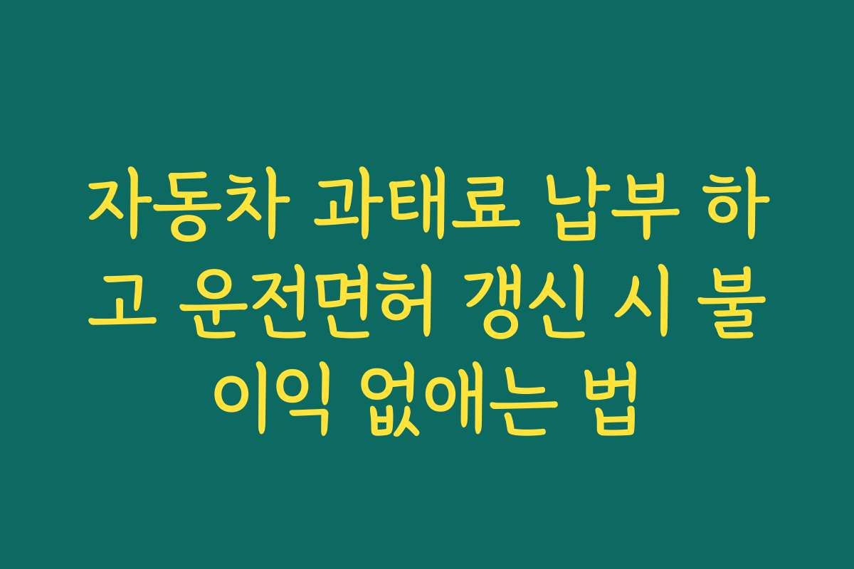 자동차 과태료 납부 하고 운전면허 갱신 시 불이익 없애는 법