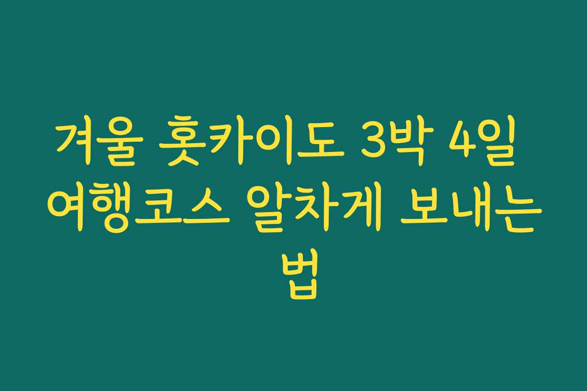 겨울 홋카이도 3박 4일 여행코스 알차게 보내는 법