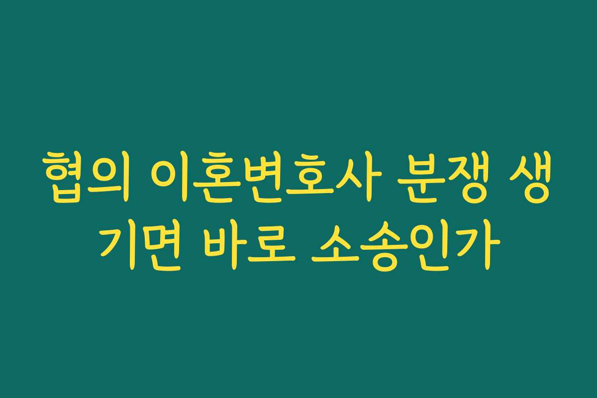 협의 이혼변호사 분쟁 생기면 바로 소송인가