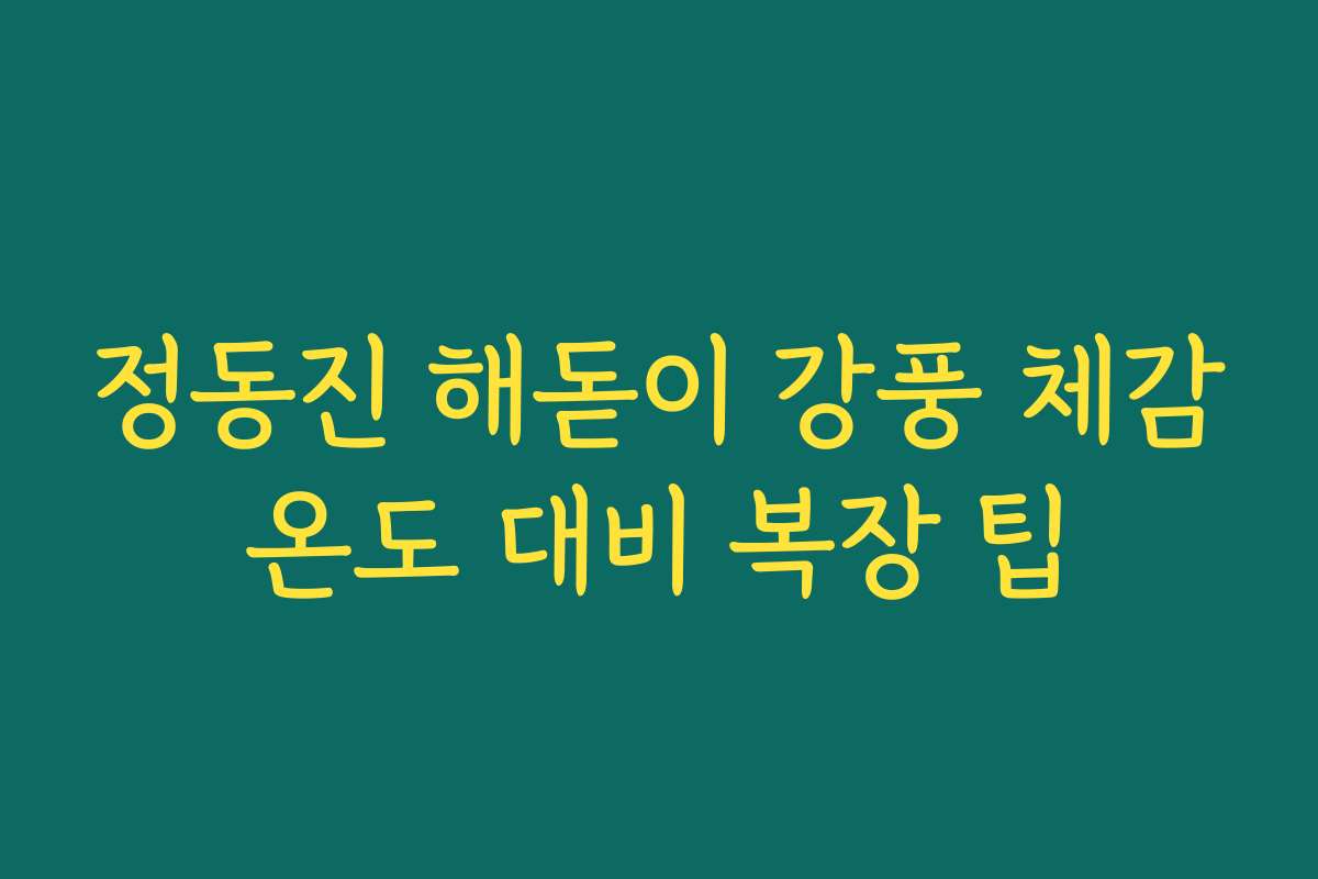 정동진 해돋이 강풍 체감온도 대비 복장 팁