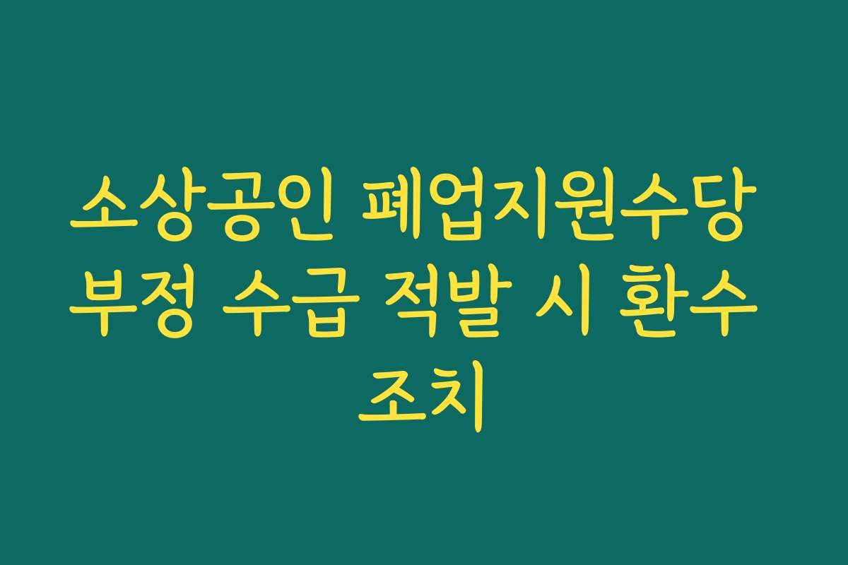 소상공인 폐업지원수당 부정 수급 적발 시 환수 조치