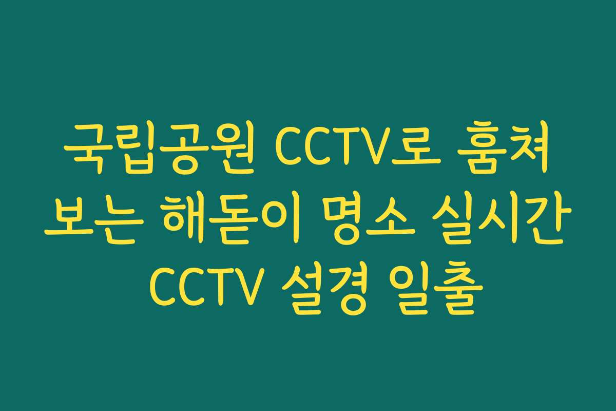 국립공원 CCTV로 훔쳐보는 해돋이 명소 실시간 CCTV 설경 일출