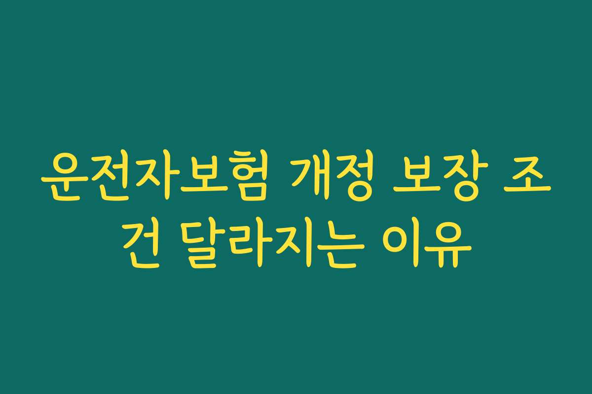 운전자보험 개정 보장 조건 달라지는 이유