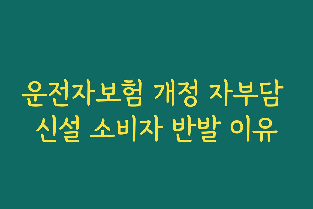 운전자보험 개정 자부담 신설 소비자 반발 이유