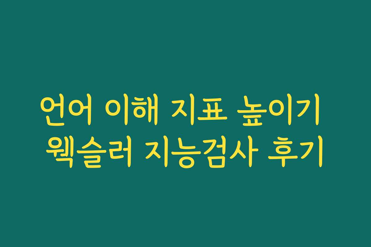 언어 이해 지표 높이기 웩슬러 지능검사 후기