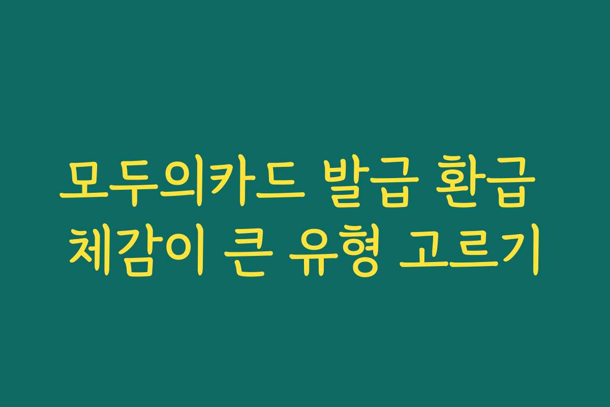 모두의카드 발급 환급 체감이 큰 유형 고르기