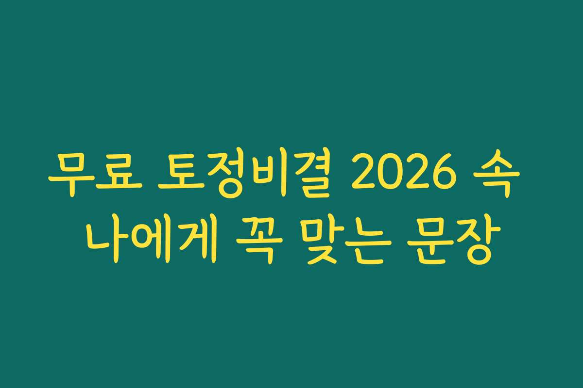 무료 토정비결 2026 속 나에게 꼭 맞는 문장