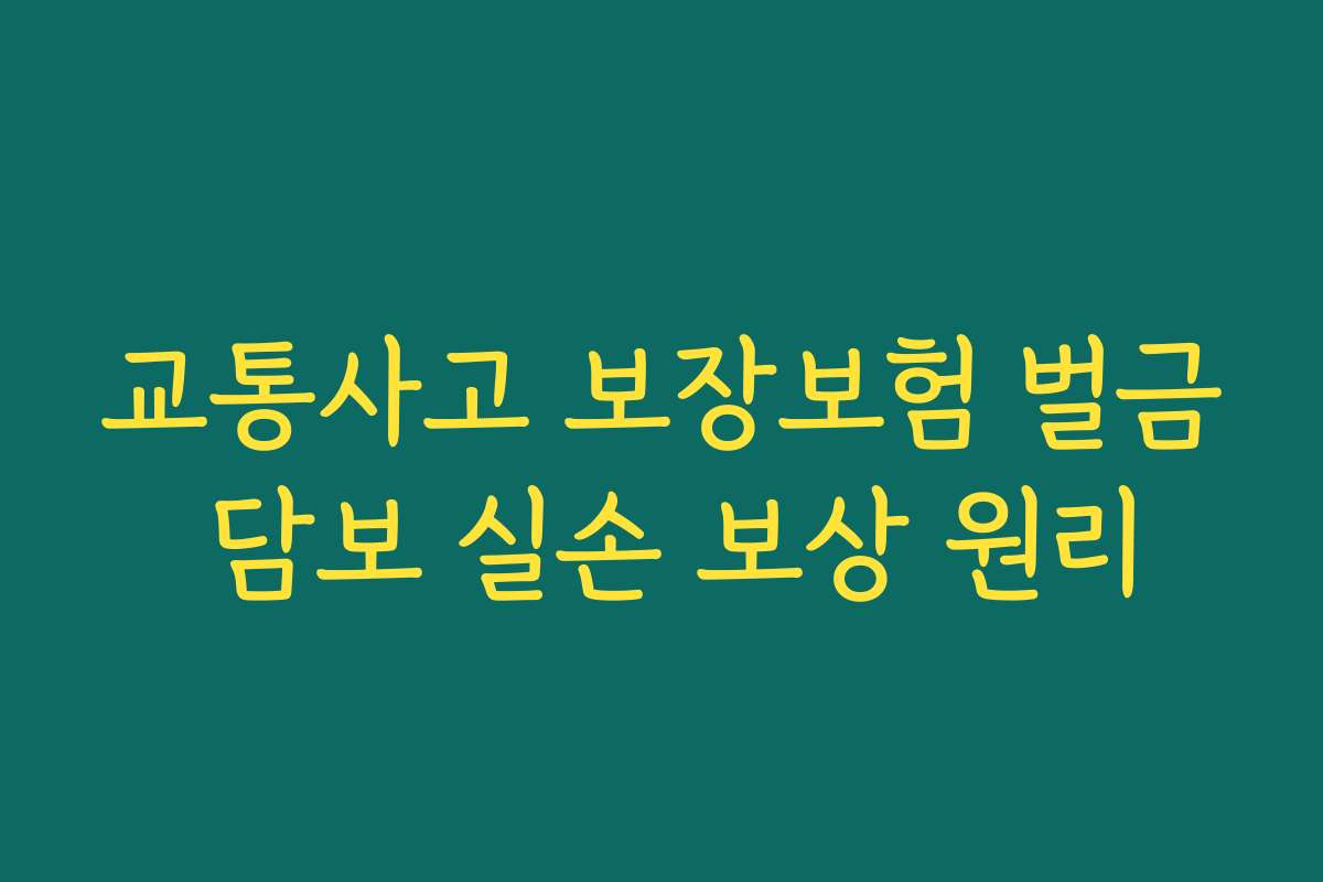 교통사고 보장보험 벌금 담보 실손 보상 원리