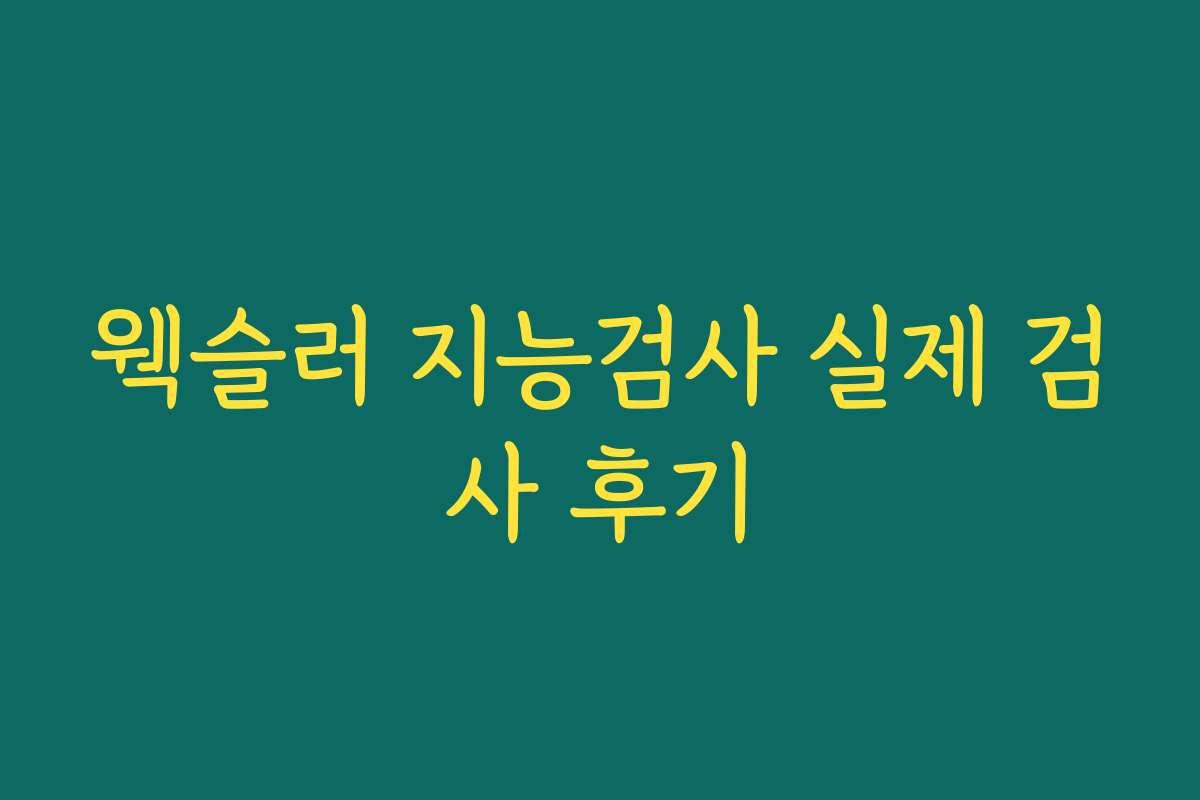 웩슬러 지능검사 실제 검사 후기