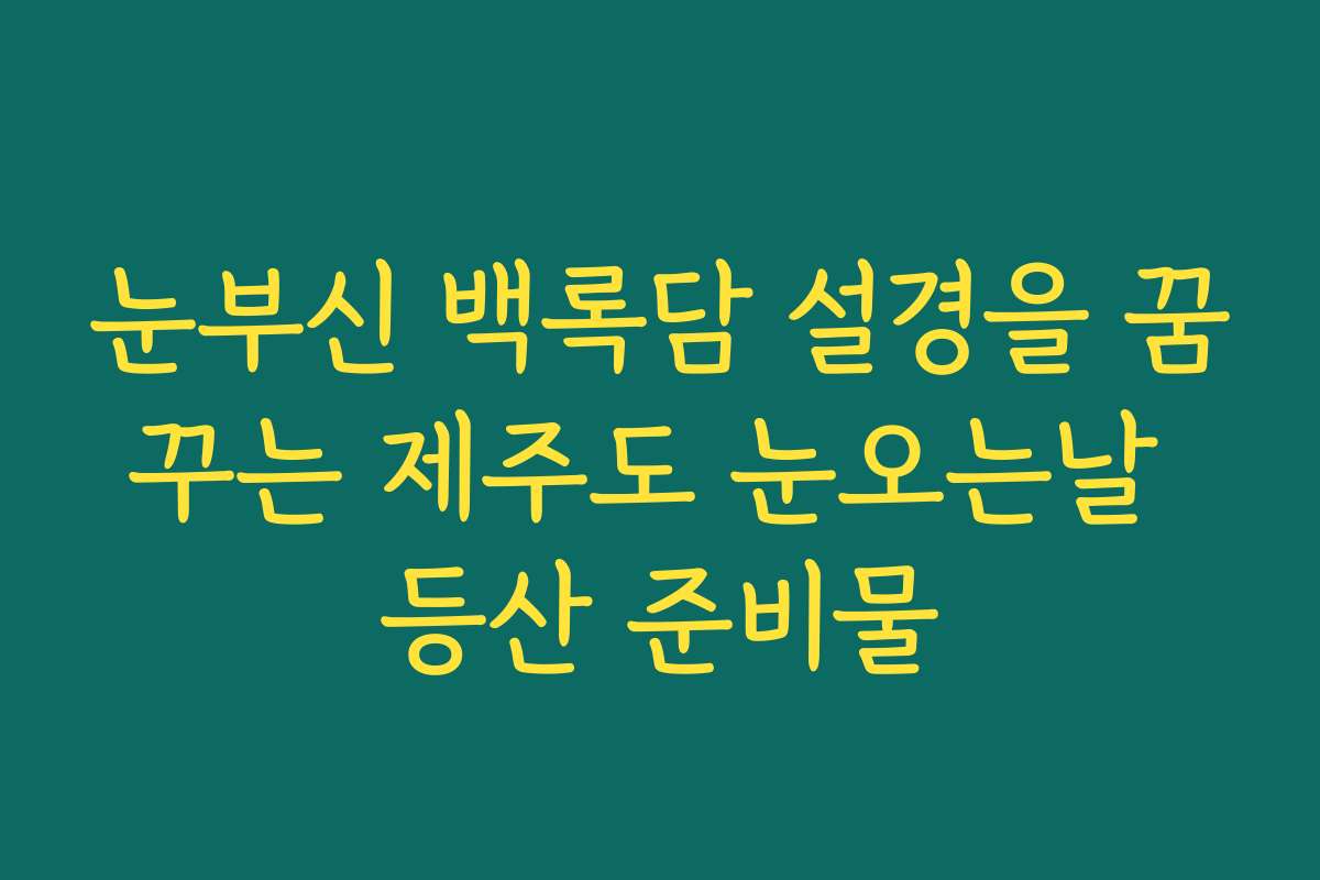 눈부신 백록담 설경을 꿈꾸는 제주도 눈오는날 등산 준비물