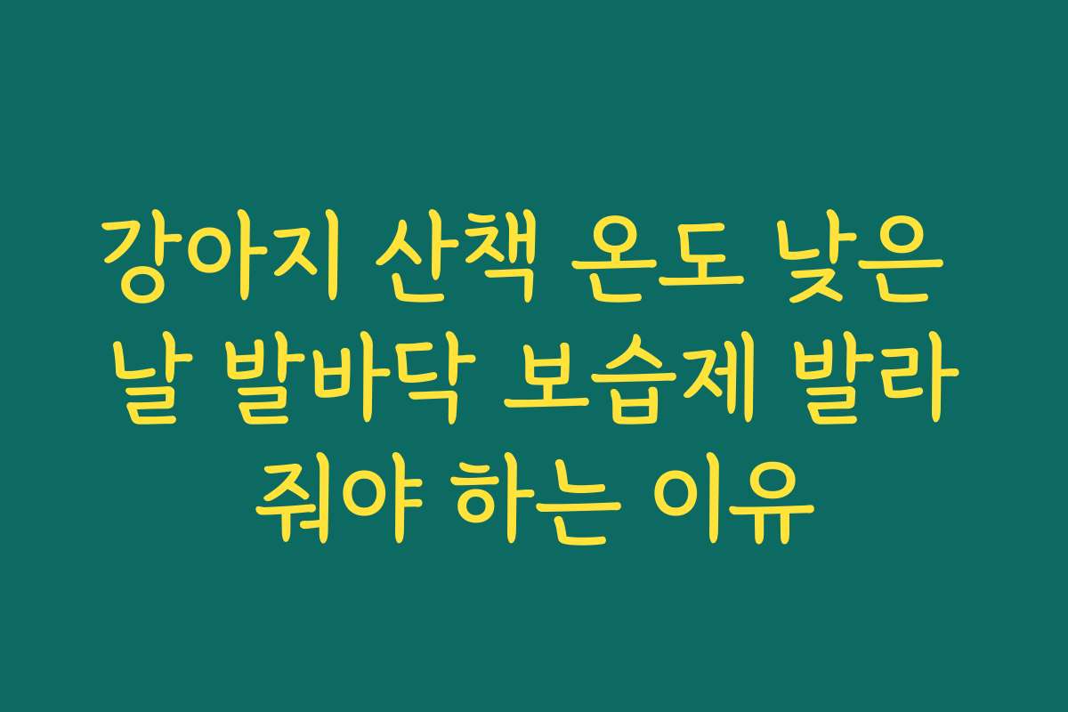 강아지 산책 온도 낮은 날 발바닥 보습제 발라줘야 하는 이유