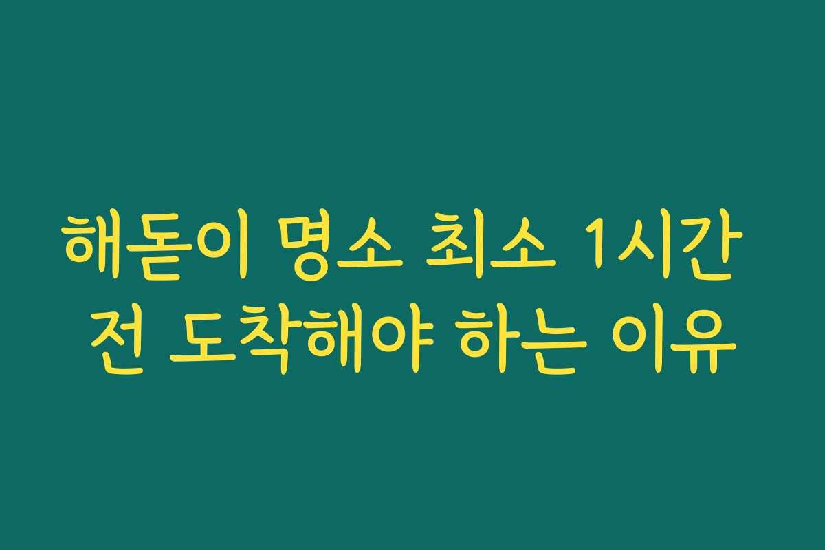 해돋이 명소 최소 1시간 전 도착해야 하는 이유