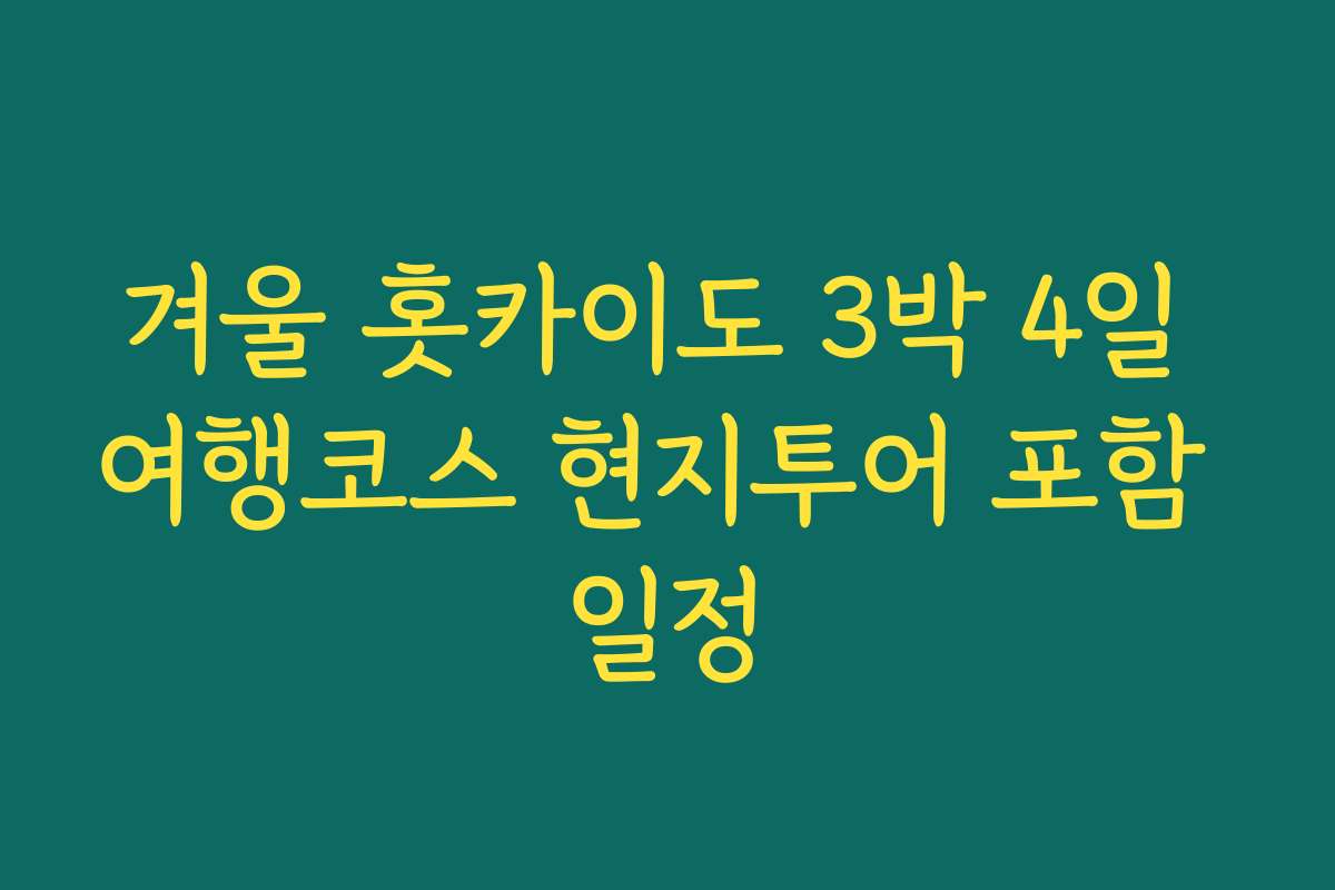 겨울 홋카이도 3박 4일 여행코스 현지투어 포함 일정