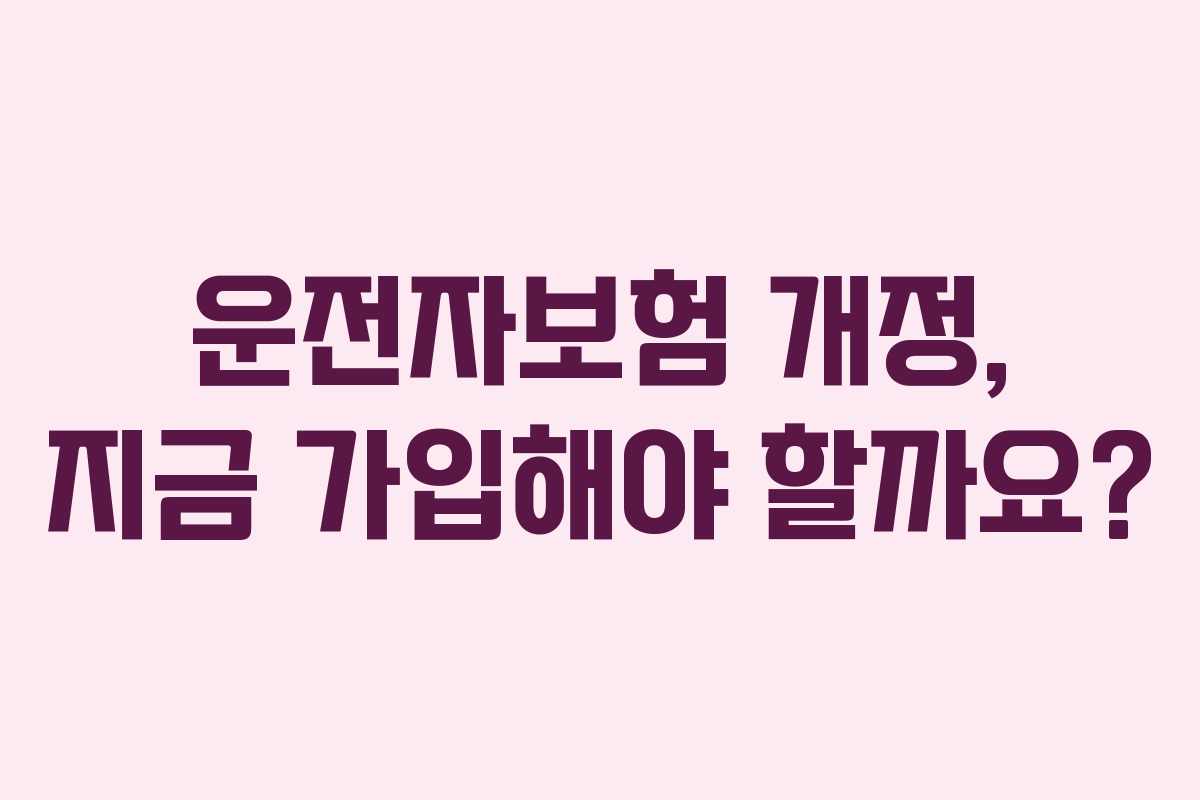 운전자보험 개정, 지금 가입해야 할까요?