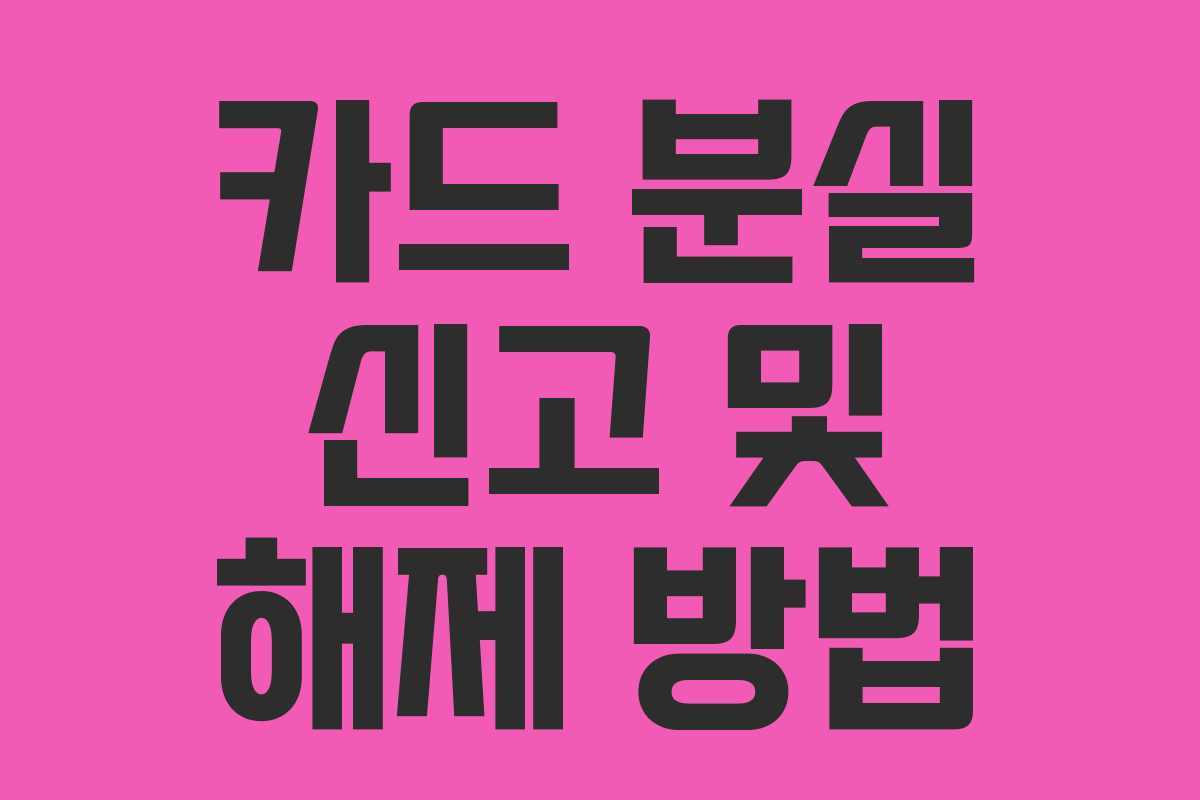 카드 분실 신고 및 해제 방법