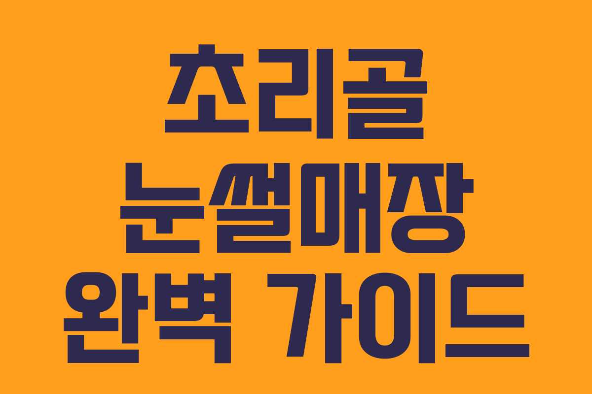 초리골 눈썰매장 완벽 가이드