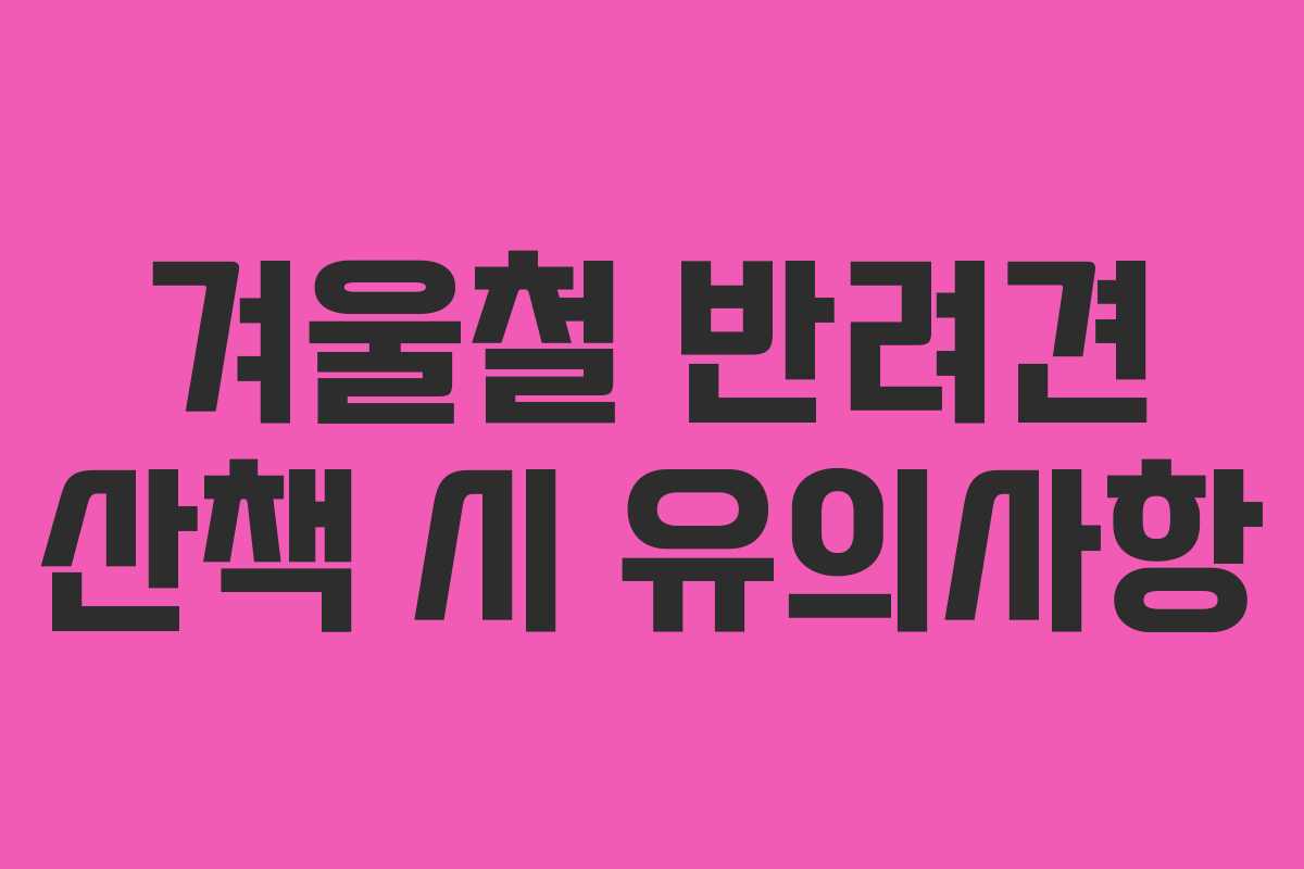 겨울철 반려견 산책 시 유의사항
