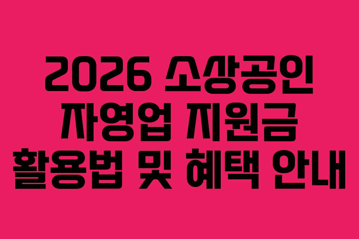 2026 소상공인 자영업 지원금 활용법 및 혜택 안내