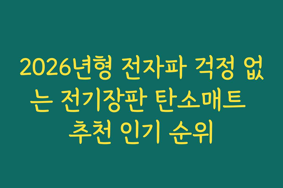 2026년형 전자파 걱정 없는 전기장판 탄소매트 추천 인기 순위