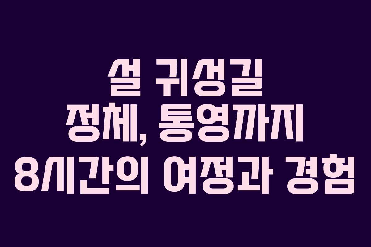 설 귀성길 정체, 통영까지 8시간의 여정과 경험