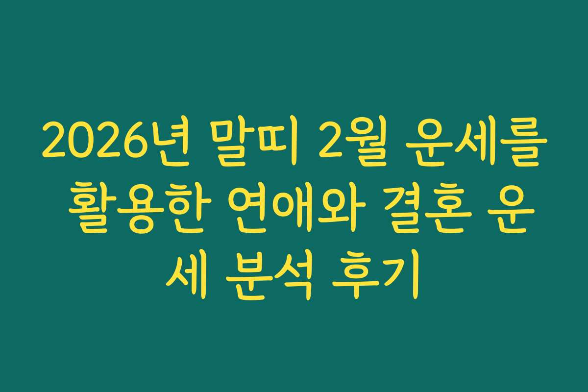2026년 말띠 2월 운세를 활용한 연애와 결혼 운세 분석 후기