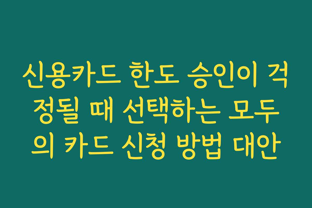 신용카드 한도 승인이 걱정될 때 선택하는 모두의 카드 신청 방법 대안