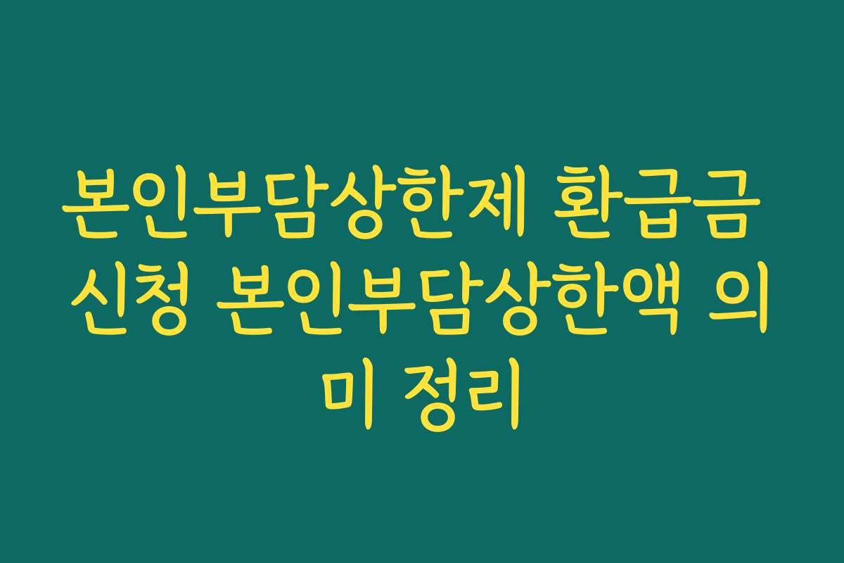 본인부담상한제 환급금 신청 본인부담상한액 의미 정리