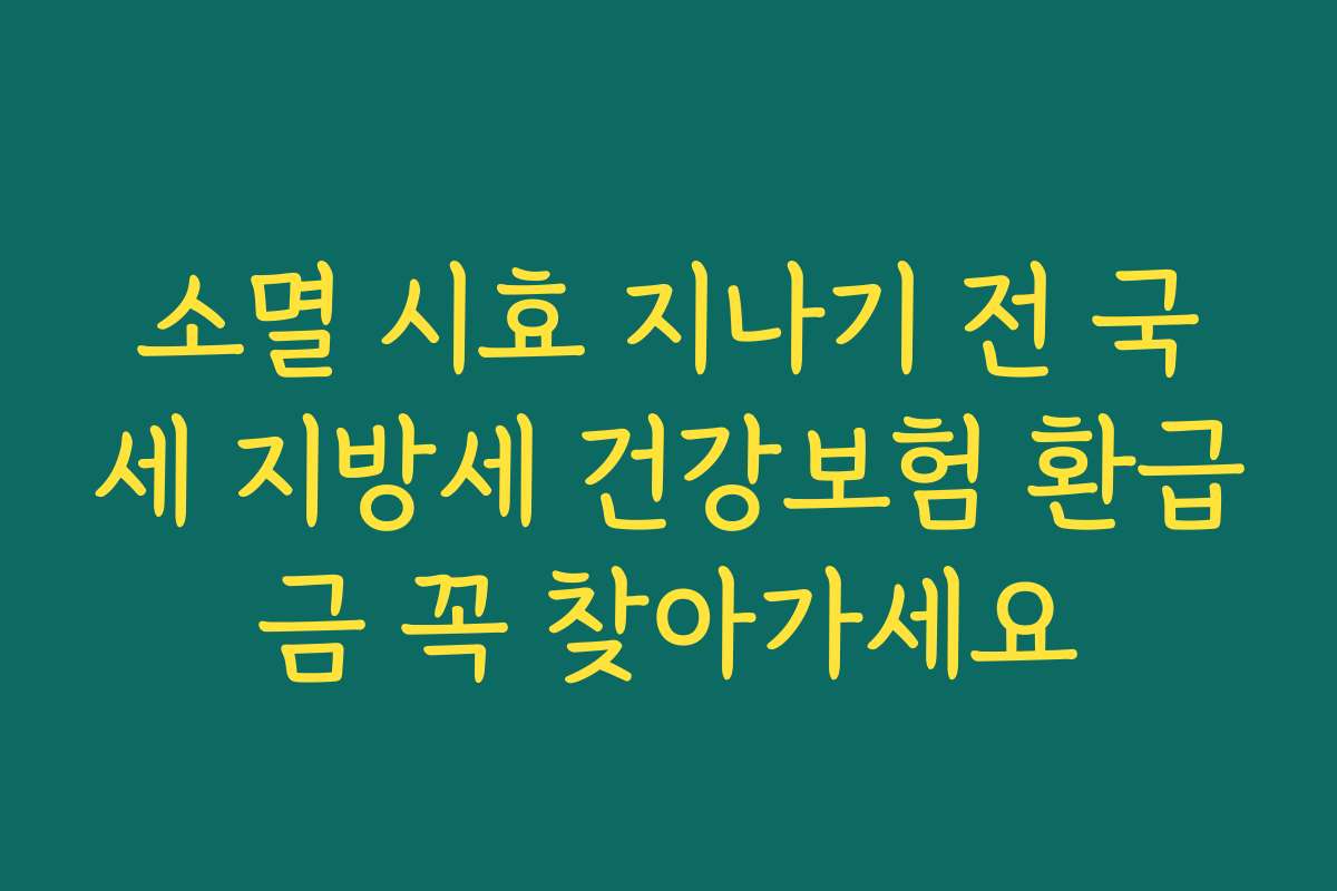 소멸 시효 지나기 전 국세 지방세 건강보험 환급금 꼭 찾아가세요