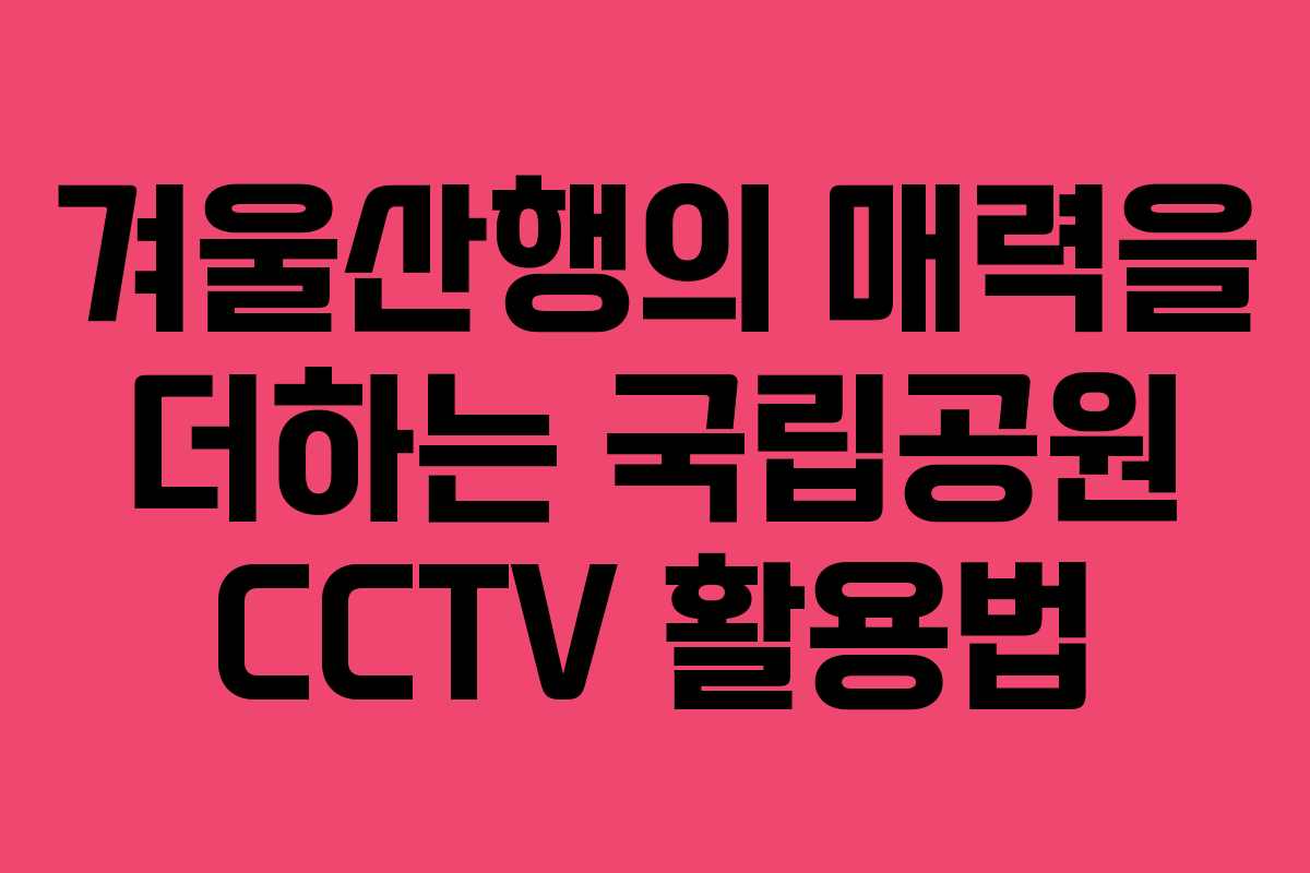 겨울산행의 매력을 더하는 국립공원 CCTV 활용법
