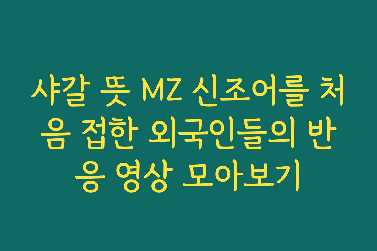 샤갈 뜻 MZ 신조어를 처음 접한 외국인들의 반응 영상 모아보기