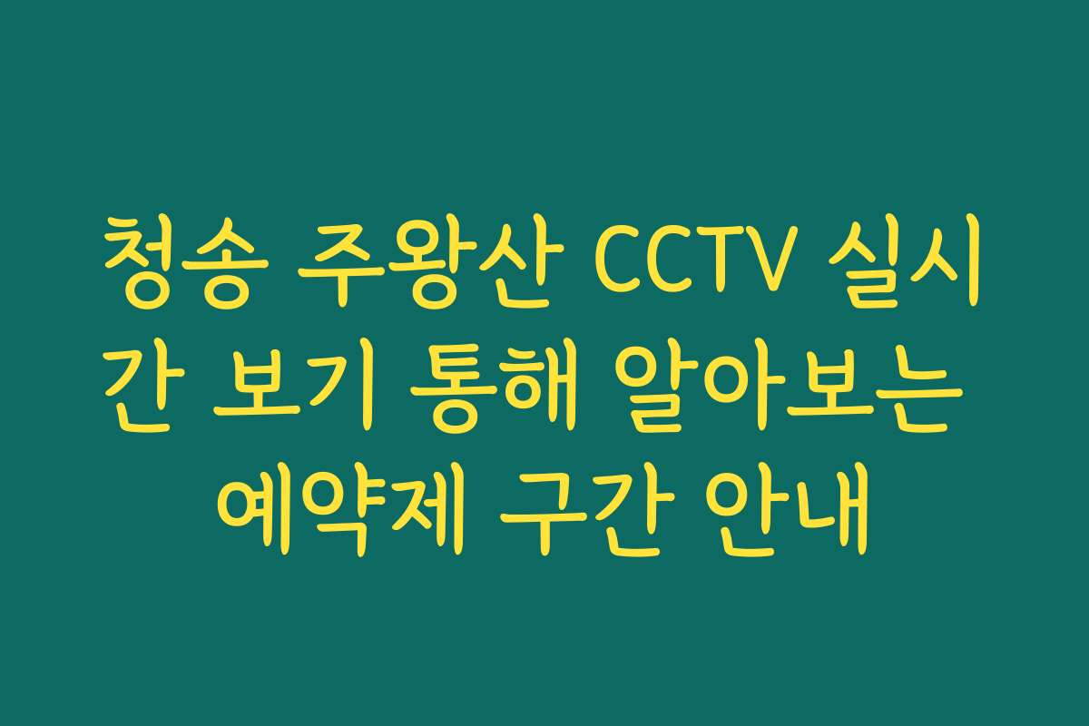 청송 주왕산 CCTV 실시간 보기 통해 알아보는 예약제 구간 안내