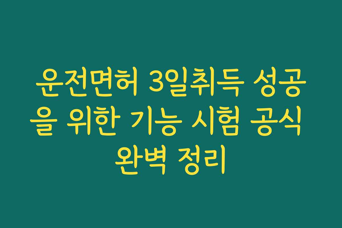 운전면허 3일취득 성공을 위한 기능 시험 공식 완벽 정리