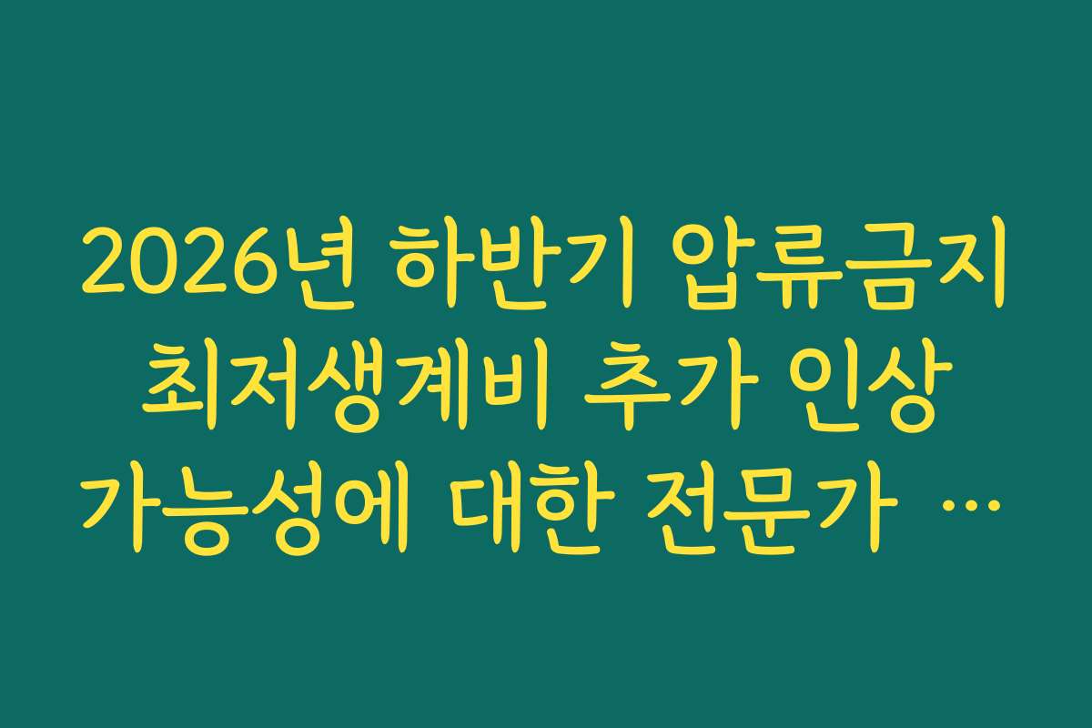 2026년 하반기 압류금지 최저생계비 추가 인상 가능성에 대한 전문가 전망
