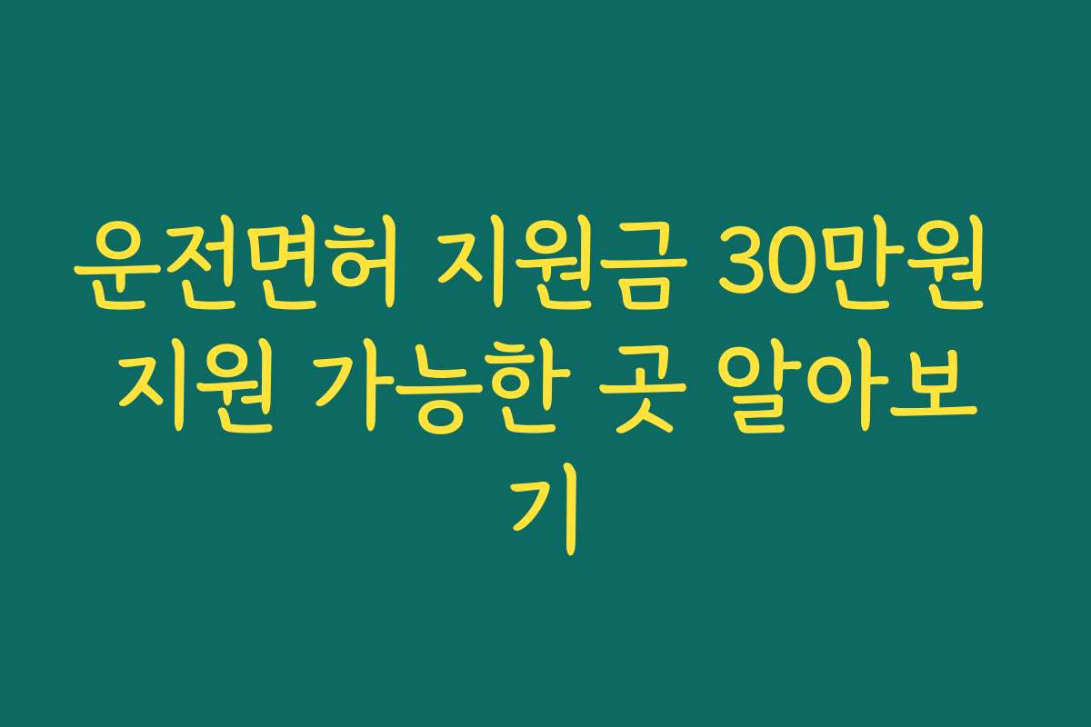 운전면허 지원금 30만원 지원 가능한 곳 알아보기