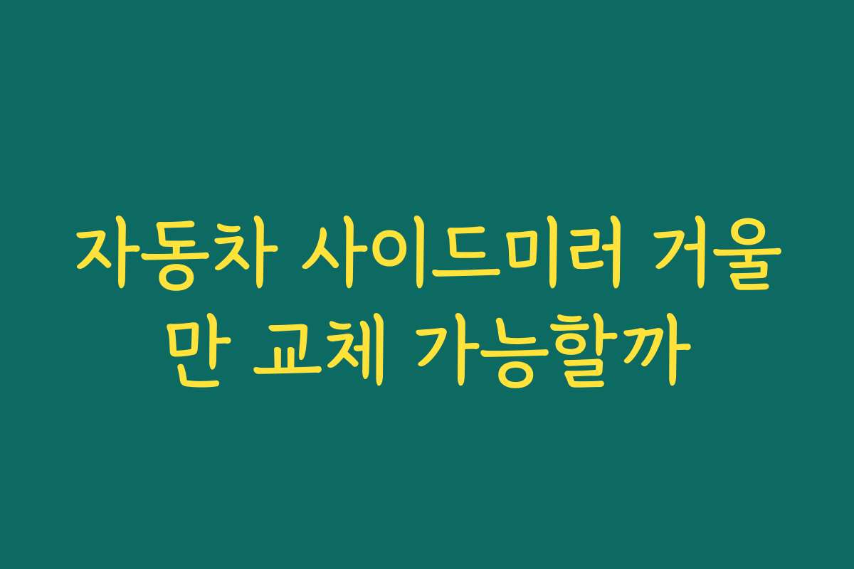 자동차 사이드미러 거울만 교체 가능할까