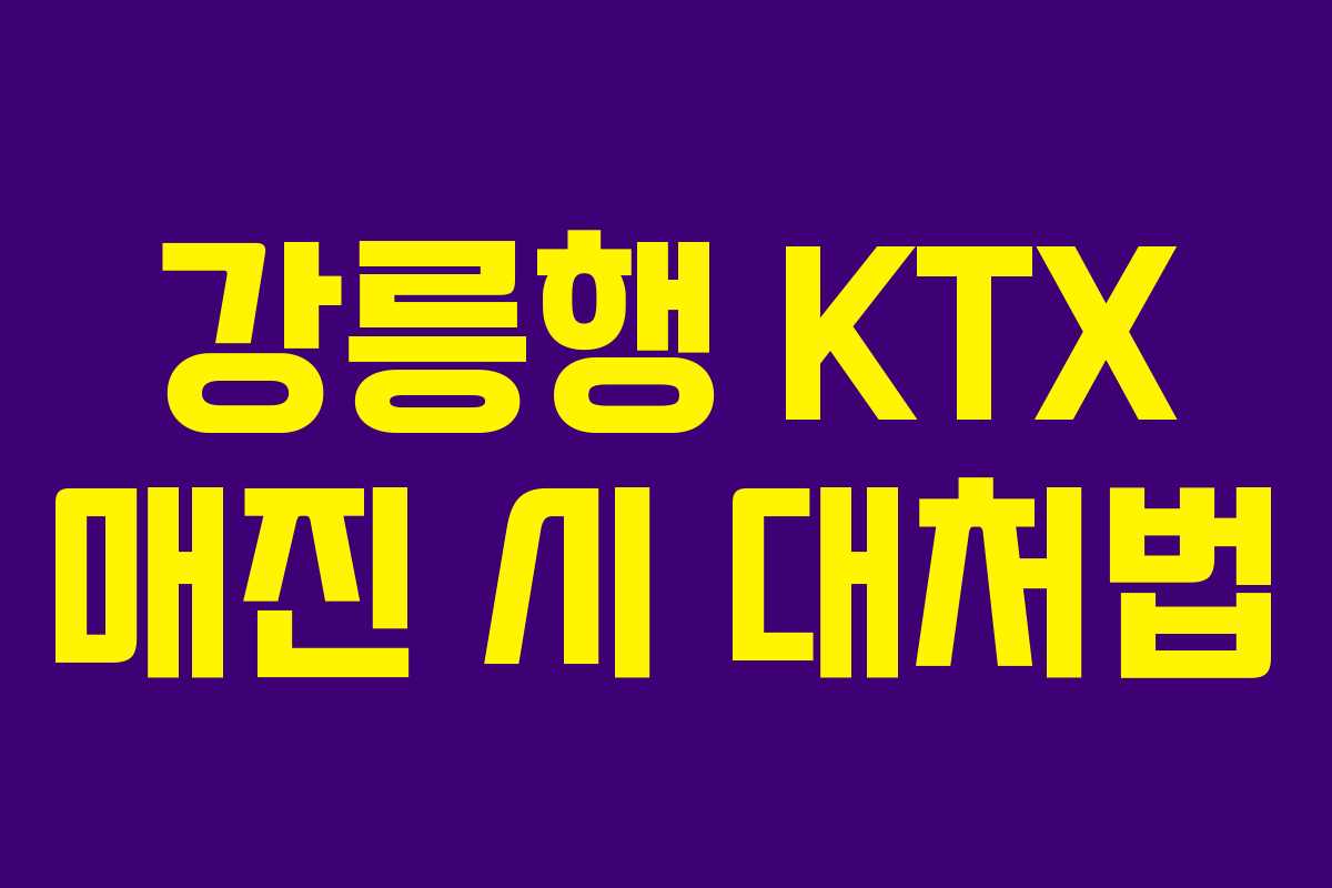 강릉행 KTX 매진 시 대처법
