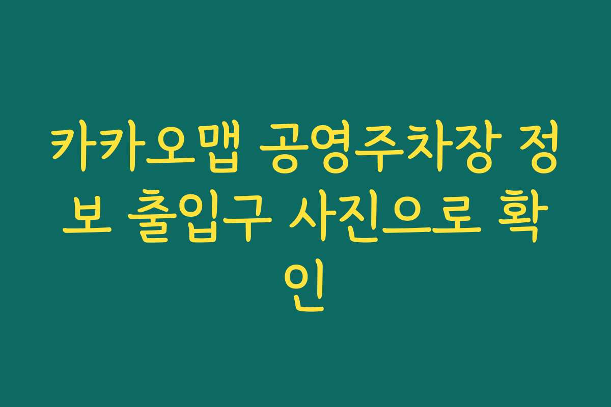 카카오맵 공영주차장 정보 출입구 사진으로 확인