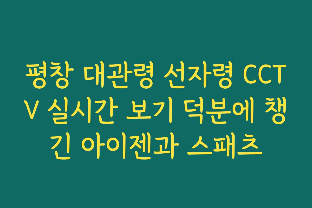 평창 대관령 선자령 CCTV 실시간 보기 덕분에 챙긴 아이젠과 스패츠