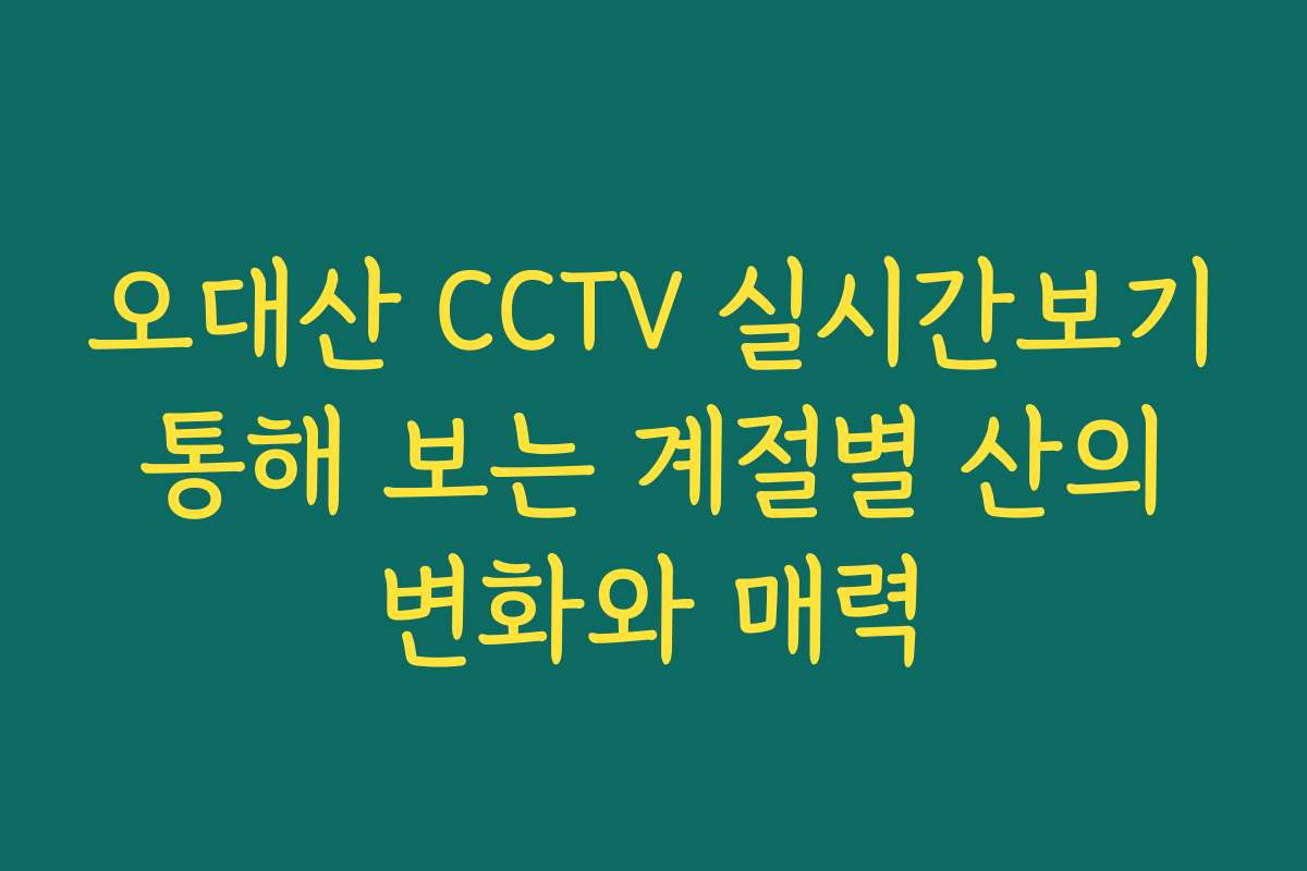 오대산 CCTV 실시간보기 통해 보는 계절별 산의 변화와 매력