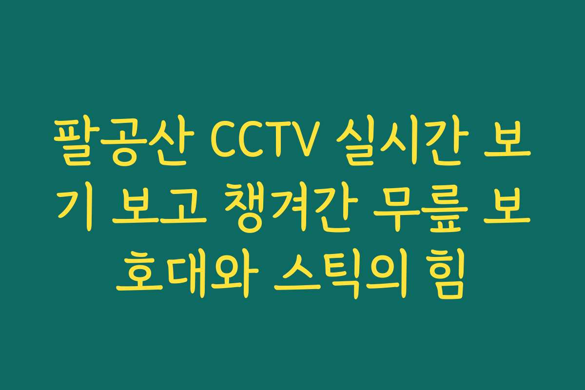 팔공산 CCTV 실시간 보기 보고 챙겨간 무릎 보호대와 스틱의 힘