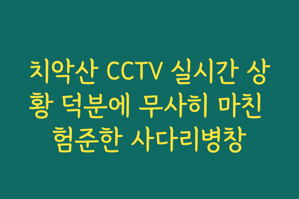 치악산 CCTV 실시간 상황 덕분에 무사히 마친 험준한 사다리병창