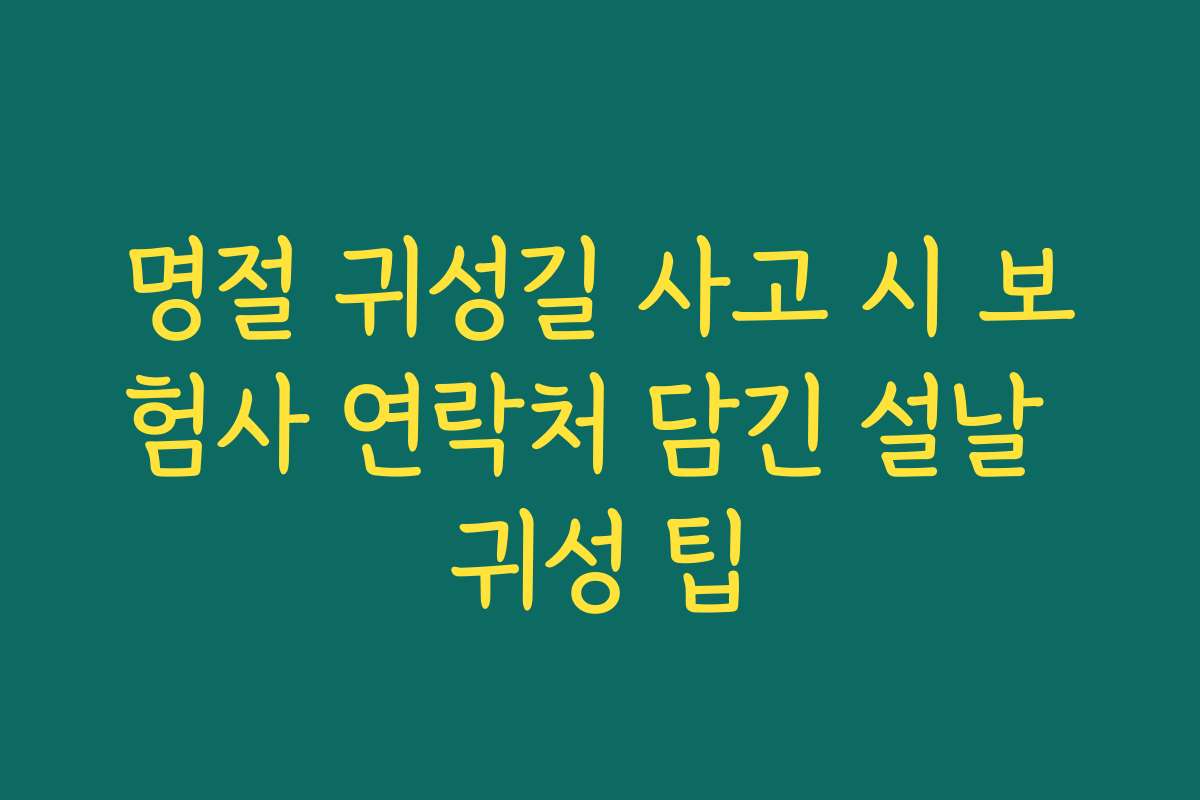 명절 귀성길 사고 시 보험사 연락처 담긴 설날 귀성 팁