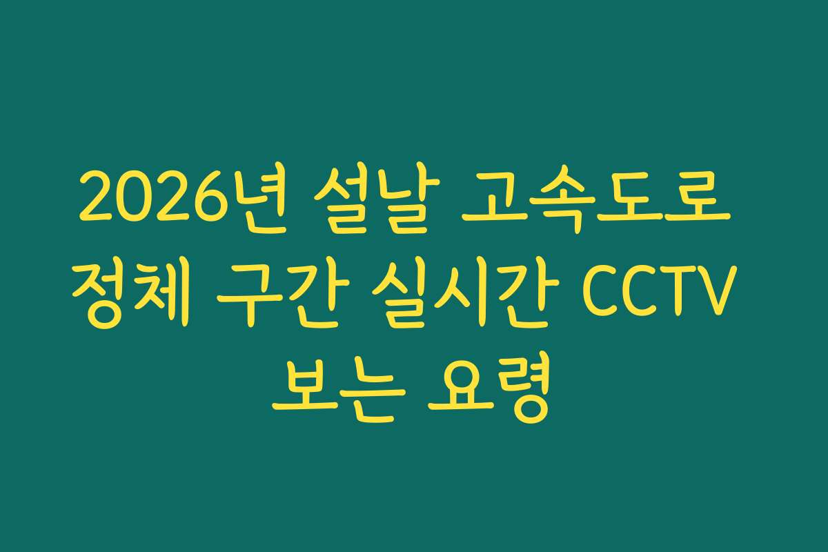 2026년 설날 고속도로 정체 구간 실시간 CCTV 보는 요령