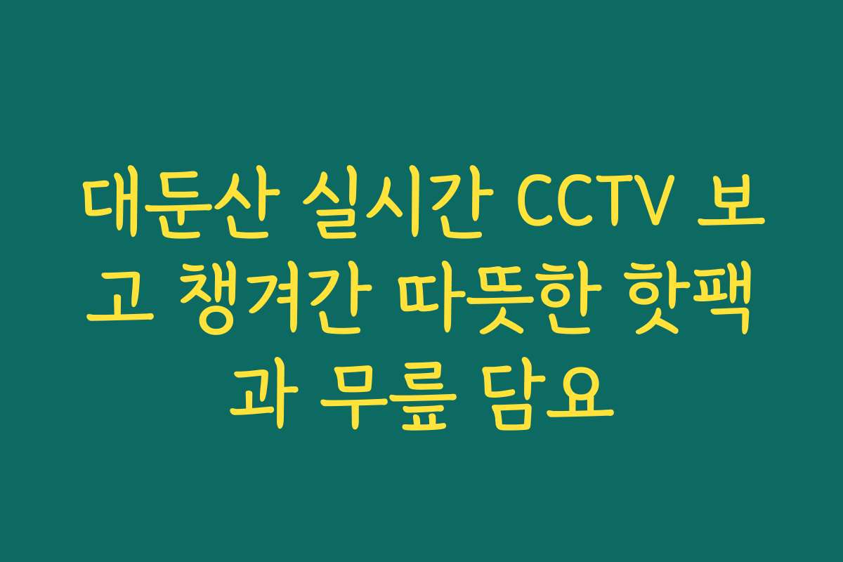 대둔산 실시간 CCTV 보고 챙겨간 따뜻한 핫팩과 무릎 담요