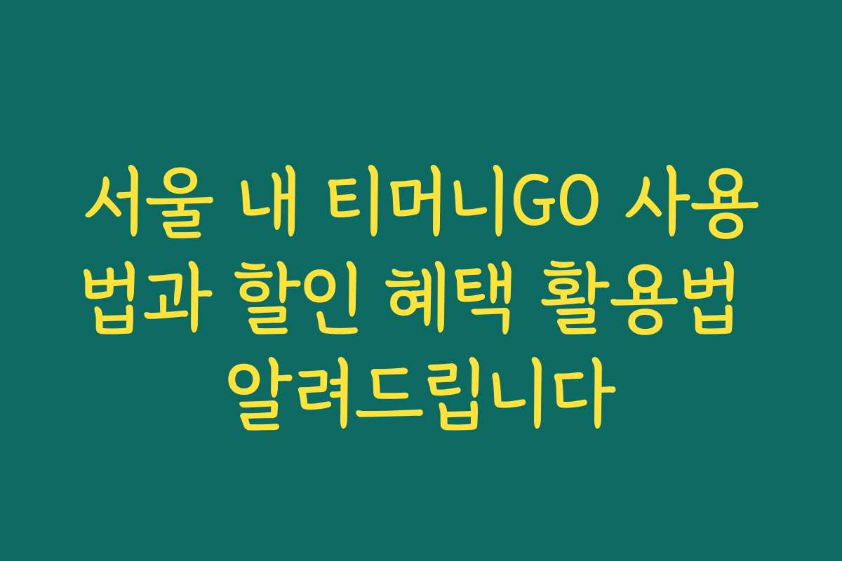 서울 내 티머니GO 사용법과 할인 혜택 활용법 알려드립니다